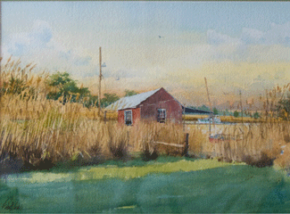 tall grass